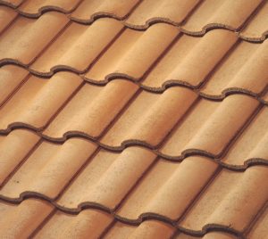Sequoia Roofing Images